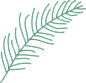 素描海洋海鲜海草珊瑚八爪鱼海马河豚螃蟹贝壳螺矢量免抠图PS素材 (34)