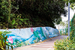 AryaS采集到A景观 护坡边坡草坡