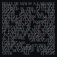 潮流复古逆反差酸性杂志海报排版电影标题logo设计衬线英文字体包 Belle de Mai Font Family插图10