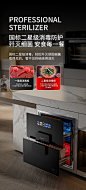法国SCHNEIDER消毒柜家用嵌入式厨房消毒碗柜小型二星高温消毒-tmall.com天猫