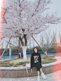刘雯​​​​