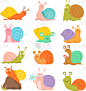 可爱的,法式蜗牛,鼻涕虫,软体动物,卡通,贝壳,湿,螺线,野生动物,耳蜗
