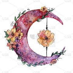 LTQI采集到玫瑰花