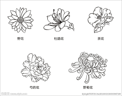 竹萤设计学院采集到【图案】白描工笔