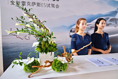 丽丽丽丽zi采集到摆件