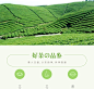 龙羽绿茶 2018 明前特级 径山茶 高山绿茶叶 62.5克/罐包邮-淘宝网