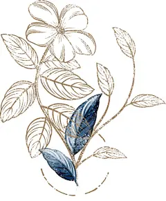 手绘羽毛线条  - 源文件下载【酷图网】唯美,海蓝色,金色,花卉,植物,请柬,海报,装饰,PNG,图案,素材,