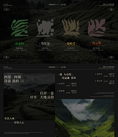 耗子不会懒采集到包装