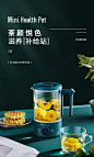 【卓朗ZL-CP06】卓朗(zoomland)迷你养生壶电水壶 多功能便携煮茶壶烧水壶小型养生杯花茶壶热水壶煮茶器 内带滤网 ZL-CP06【行情 报价 价格 评测】-京东