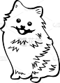 博美犬,矢量,图像,狗
