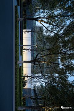 lin312955643采集到宜宾