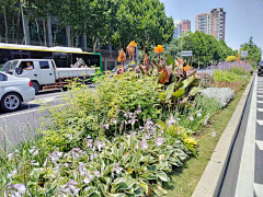 刘小花儿采集到绿化带