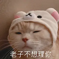 求一些生气表情包 ​... - @橘猫沙梨Sally的微博 - 微博