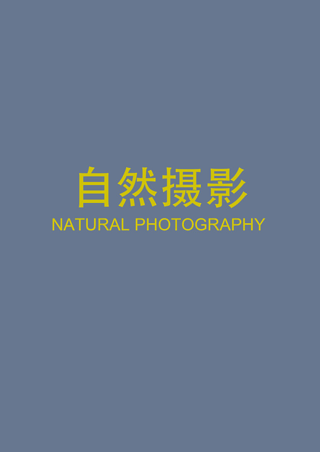 未标题-1