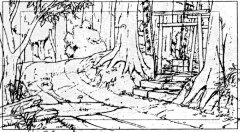 龙猫原画设定 (41)