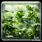 绿植艺术玻璃贴图下载【ID:1159336806】