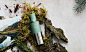 Abbott Fragrances - Preview