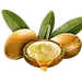 摩洛哥阿甘油