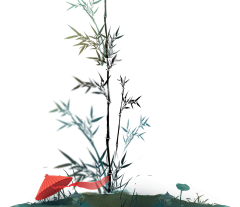 光源酱采集到花卉植物免扣