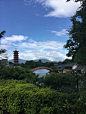    再见，也许永远不见，我内心固执地追求，只有我自己看得见，但我希望我没错。