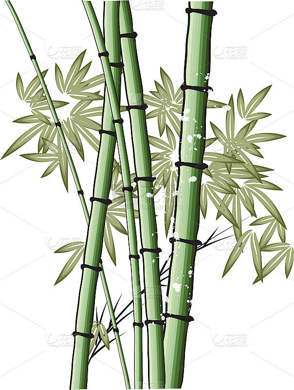 矢量中国画竹