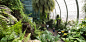 Be inspired by Changi Airport's captivating gardens : Travelling can be stressful and exhausting. But Changi Airport’s gardens are serene havens of greenery for travellers on the go who wish to take some quiet time and enjoy nature.