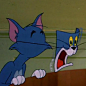 汤姆猫和杰瑞鼠表情包