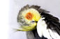 0dbcf1563d53550f8e1db834bc8d844a764e482a82a8-vJLRkr