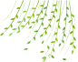 png植物鲜花素材  树叶 翠柳叶子素材  透明背景图案
@冒险家的旅程か★