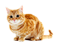 b7b2dfc8ee636e779f638108ab500713579a07a345ccb-FimkbV