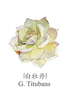 手绘多肉植物-可爱图片-Q友乐园