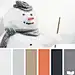 snowy tones