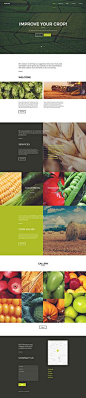 Modern clean website design layout about crop optimizing with beautiful photography