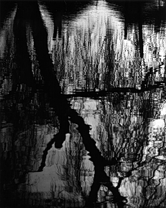 peggysuns采集到Brett Weston