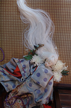 design----采集到BJD