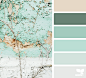 Design Seeds : Design Seeds color palettes ... posted daily for all who love color.