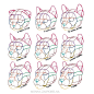 Cat heads_ size and proportions by MonikaZagrobelna on DeviantArt结构 struckure 内部结构 骨骼肌肉 内部解剖 人体内部分析 人体分析 动物分析 结构图 手