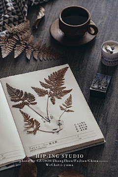 Neeat采集到植物记录