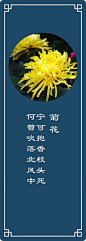 【媝娫小筑】诗与花·菊花