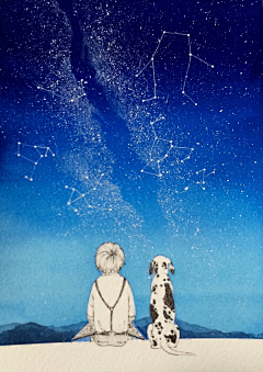【淺花若萱、羅離殤】采集到「The starry sky」