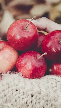 【高清手机壁纸。风景美图。城市风光摄影。设计灵感。桌面锁屏。日系韩系欧美。小清新。】❤️