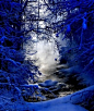 Beautiful Winter Cobalt Scene