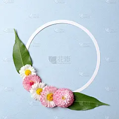 春天节日的概念。色彩鲜艳的花朵和绿色的叶子和空白的圆形纸卡轮廓在粉彩蓝色的背景。平面构成。顶视图,开
