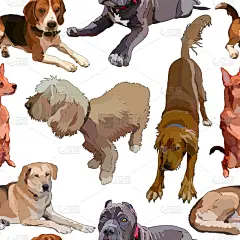 狗,可爱的,鲍沃,纯种犬,梗犬,肖像,巴哥犬,动物,杂种猫,绘制