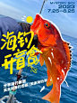 海钓开盲盒｜全球9位船长带你出海啦！