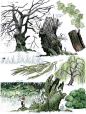 MAN ARENAS — Did ‘I ever mentioned that I like to draw trees? ...