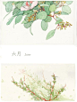 六月 来自Miss_June在堆糖网的分享