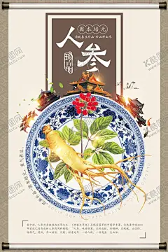 中国风补品中药人参海报 【酷图网】人参,人参挂画,人参文化,人参海报,人参广告,野生人参,山参,野生山参,长白山人参,土人参,人参画册,正宗人参,野山参,中药人参,野人参,人参花,高丽野人参,人参展板,人参挂图,长白山参,东北人参,东北野山参,中药,千年人参,人参功效,人参DM单,人参传单,人参宣传单,中医文化