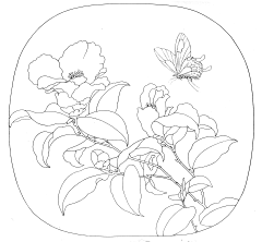 池水糖采集到国画