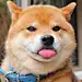 错过L
